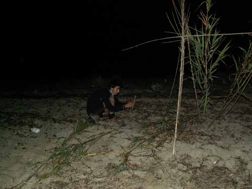 PICT5098