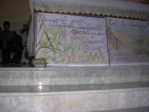 Immagine 038